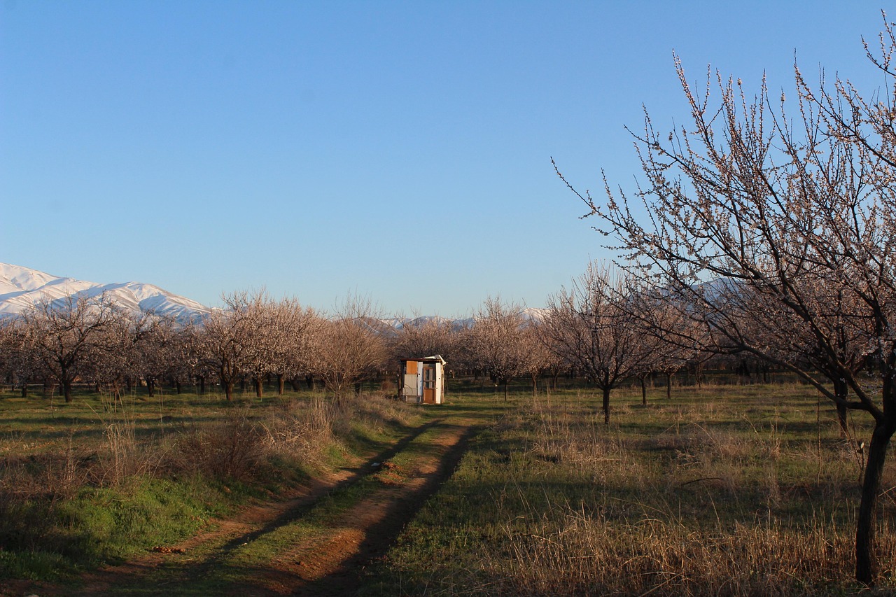 10 kVA Jeneratör ile Küçük İşletmelere Enerji Desteği