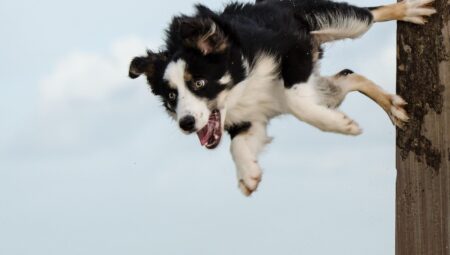 Aydınlatma Kulesi ile Etkinliklerinizi Parlatın