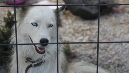 Jeneratör Üretiminde Sürdürülebilir Yaklaşımlar