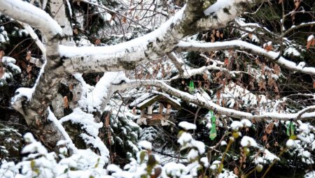 Römorklu Jeneratör ile Enerjiye Kolay Erişim