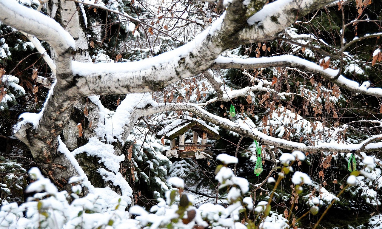 Römorklu Jeneratör ile Enerjiye Kolay Erişim